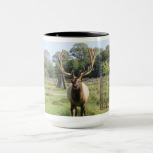 Wunderschönes Bull Elk Foto auf 15oz Combi-Tasse Tasse