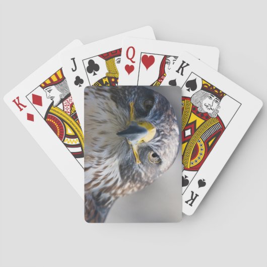 Wunderschönes Eagle Deck beim Kartenspielen Spielkarten (Rückseite)
