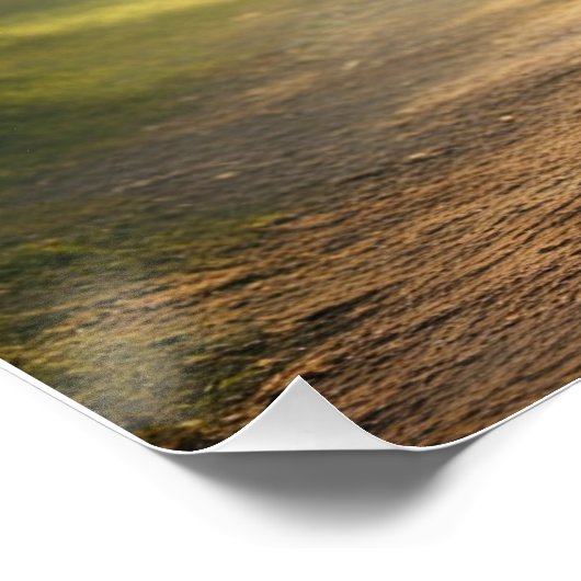 Wunderschönes Feenplakat Poster (Ecke)