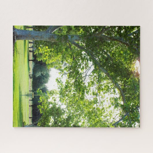 Wunderschönes Forest Disk Golf Puzzle (Horizontal)