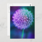 Wunderschönes Foto aus Dandelion auf blauem Hinter Postkarte (Vorne/Hinten)