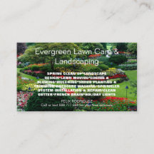 Wunderschönes Foto Weihnachtslicht Foto