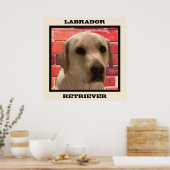 Wunderschönes gelbes Labrador Retriever Doster Poster (Küche)