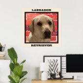 Wunderschönes gelbes Labrador Retriever Doster Poster (Heimbüro)
