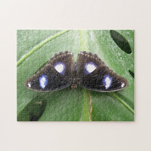 Wunderschönes Gepunktetes Schmetterlingspuzzle Puzzle (Horizontal)