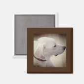Wunderschönes Hundsprofil Foto Magnet (Vorderseite/Rückseite)
