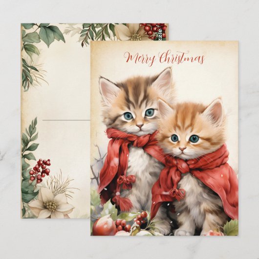 Wunderschönes Kätzchen-Paar Weihnachten Postkarte (Vorne/Hinten)