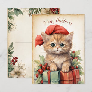 Wunderschönes Kätzchen Weihnachten  Postkarte