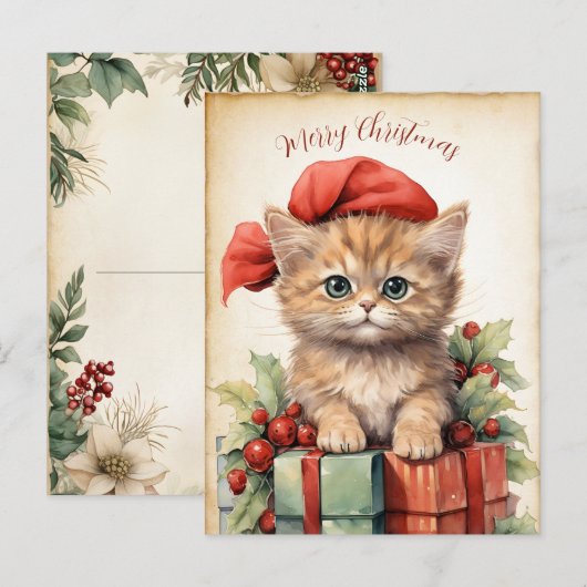 Wunderschönes Kätzchen Weihnachten  Postkarte (Vorne/Hinten)