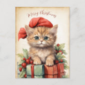 Wunderschönes Kätzchen Weihnachten  Postkarte (Vorderseite)