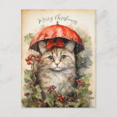 Wunderschönes Kätzchen Weihnachten Postkarte (Vorderseite)