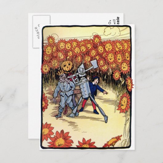 Wunderschönes Land Oz Postkarte (Vorne/Hinten)