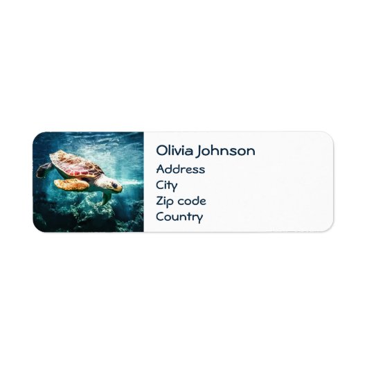 Wunderschönes Meeresschildkrötenleben Türkisblau (Vorne)