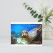 Wunderschönes Meerlilie im Paradies Galapagos Postkarte (Stehend Vorderseite)