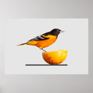 Wunderschönes Minimalistisches Oriole Bird Poster