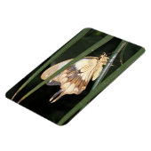 Wunderschönes Moth Premium Magnet (Linke Seite)
