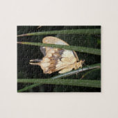 Wunderschönes Moth Puzzle (Horizontal)