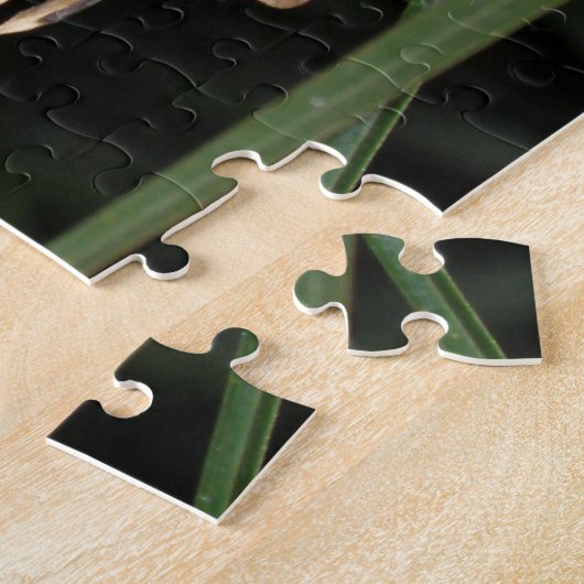 Wunderschönes Moth Puzzle (Seite)