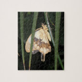 Wunderschönes Moth Puzzle (Vertikal)