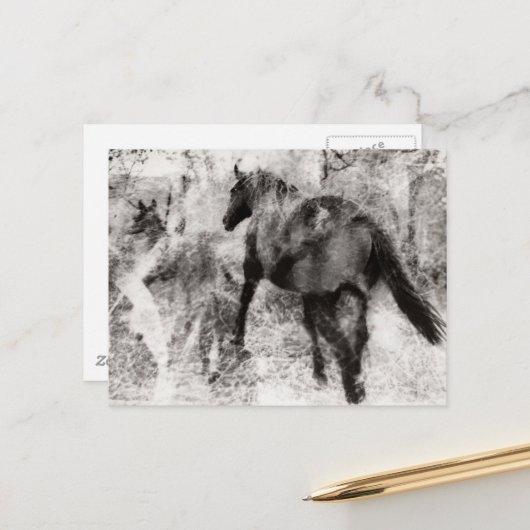Wunderschönes Paint Horse Stute mit Fohlen  Postkarte (Vorderseite/Rückseite Beispiel)