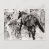 Wunderschönes Paint Horse Stute mit Fohlen  Postkarte (Vorderseite)