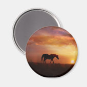 Wunderschönes Pferd und Sonnenuntergang - Fotograf Magnet (Vorderseite/Rückseite)