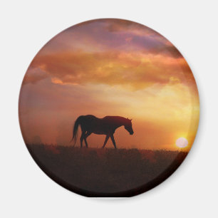 Wunderschönes Pferd und Sonnenuntergang - Fotograf Magnet