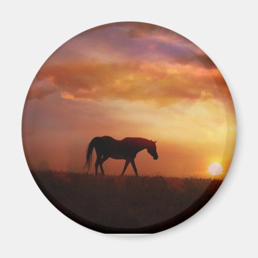 Wunderschönes Pferd und Sonnenuntergang - Fotograf Magnet (Vorne)