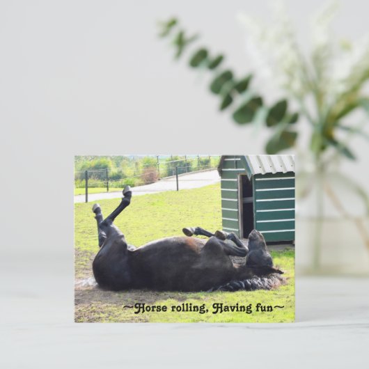 Wunderschönes Pferderollen Postkarte (Stehend Vorderseite)