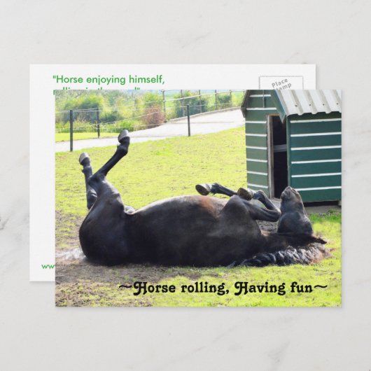 Wunderschönes Pferderollen Postkarte (Vorne/Hinten)