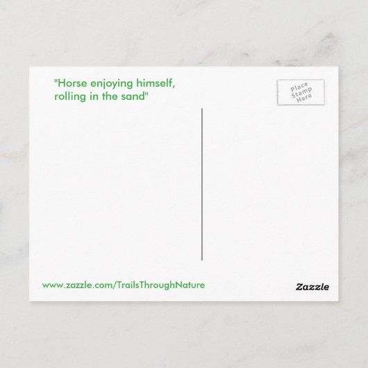 Wunderschönes Pferderollen Postkarte (Rückseite)