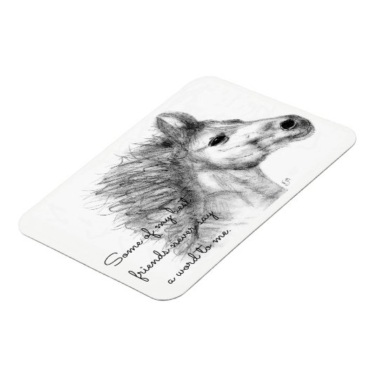 Wunderschönes Pferdeschlittenmagnet Magnet (Linke Seite)