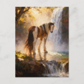Wunderschönes Pinto Gypsy Vanner Pferd am Wasserfa Postkarte (Vorderseite)