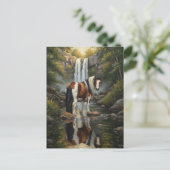 Wunderschönes Pinto-Pferd am Wasserfall Postkarte (Stehend Vorderseite)