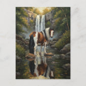 Wunderschönes Pinto-Pferd am Wasserfall Postkarte (Vorderseite)
