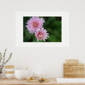 Wunderschönes Plakat für weich rosa Blume (Küche)