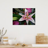 Wunderschönes Poster (Küche)