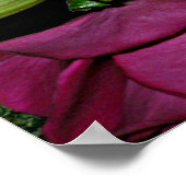 Wunderschönes Poster (Ecke)