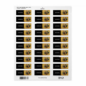 Wunderschönes Rooster und rustikales Hühnercoop (Vorne)