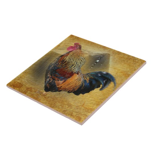 Wunderschönes Rooster und rustikales Hühnercoop Fliese (Seite)