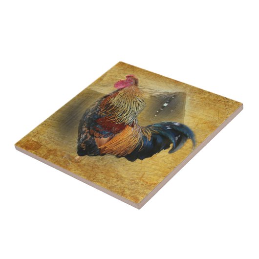 Wunderschönes Rooster und rustikales Hühnercoop Fliese (Seite)