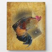 Wunderschönes Rooster und rustikales Hühnercoop Fotoplatte (Vorderseite)