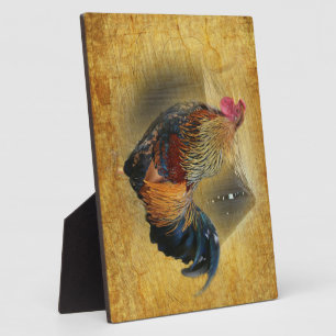 Wunderschönes Rooster und rustikales Hühnercoop Fotoplatte