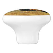 Wunderschönes Rooster und rustikales Hühnercoop Keramikknauf (Seitenansicht)