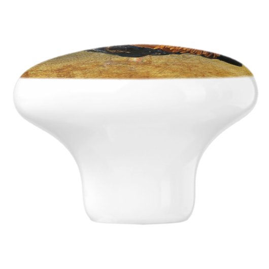 Wunderschönes Rooster und rustikales Hühnercoop Keramikknauf (Seitenansicht)