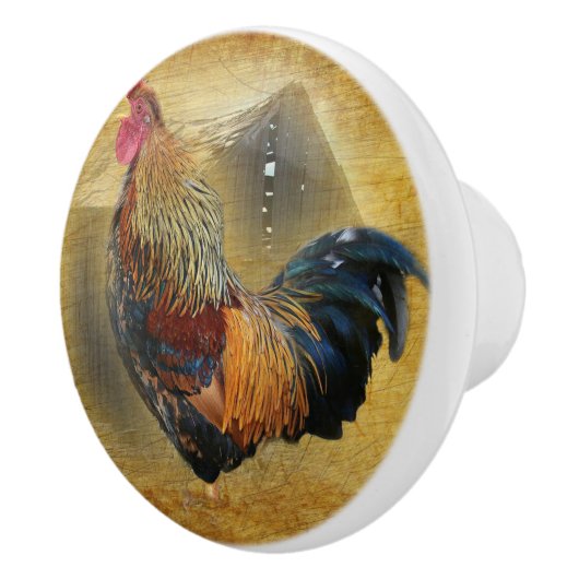 Wunderschönes Rooster und rustikales Hühnercoop Keramikknauf (Rechts)