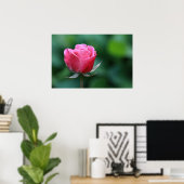 Wunderschönes rotes / rosa Rosenposter Poster (Heimbüro)