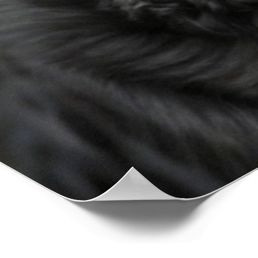 Wunderschönes Rottweiler Doster Poster (Ecke)