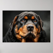 Wunderschönes Rottweiler Doster Poster (Vorne)