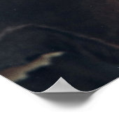 Wunderschönes Schwarzhorn-Poster Poster (Ecke)